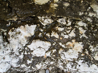 Stone texture on rock near seashore
