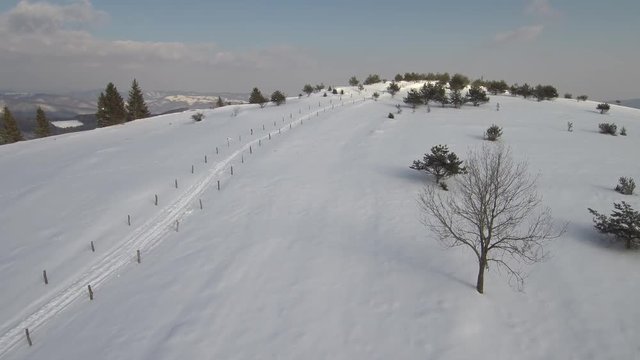 Winter landscape. Winter road and trees covered with snow