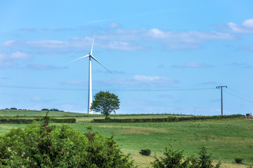 Farm landscape with big wind turbines mills, pine and oak trees, blue cloudy sky and power lines