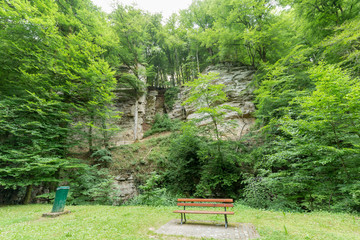 Park bench in front of a forest wall cliff