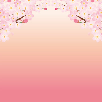 14 Best 入園のイメージ Images Stock Photos Vectors Adobe Stock