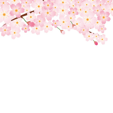 14 Best 入園のイメージ Images Stock Photos Vectors Adobe Stock 14 Best 入園のイメージ Images Stock Photos Vectors Adobe Stock