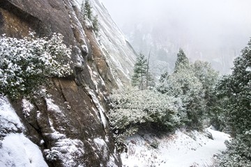 Fototapeta na wymiar Winter Snow Storm Blizzard in Yosemite National Park on Famous Hiking Trail to upper Yosemite Falls