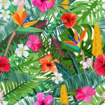 Tropical seamless pattern with flowers hibiscus, plumeria, strelitzia and palm, monstera leaves. Vector illustration. Summer or spring design elements for fashion textile prints and greeting cards.