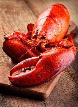 Red lobste on cutting board on wooden background