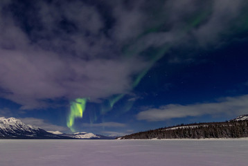 Northern Lights Aurora Borealis, Yukon Territory, Canada