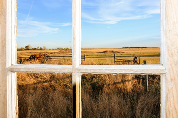 View from the window on a yellow field, overgrown with grass, a wooden fence
