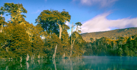 Laguna Captren 2
