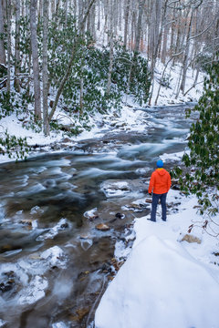 Winter Scenery At Roan Mountain Tennessee