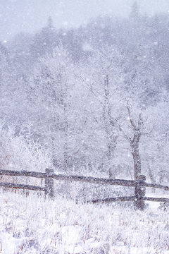 Blizzard At Carver's Gap 