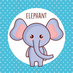 cute elephant tender character vector illustration design