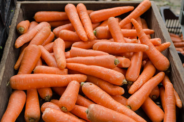 Carrots in Barcelos Market, Portugal