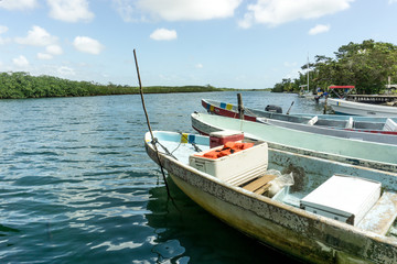 Fototapeta na wymiar Boats on the shoreline of Mango Creek in Belize