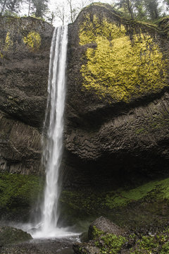 Oregon Waterfall 03