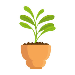 beautiful houseplant in pot vector illustration design