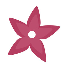 cute flower garden decoration vector illustration design