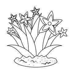 garden flower cultivated icon vector illustration design