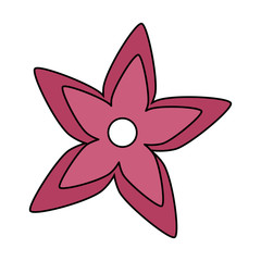 cute flower garden decoration vector illustration design