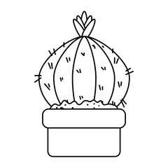 beautiful cactus houseplant in pot vector illustration design