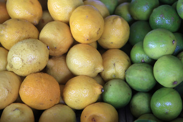 Citrons jaunes et verts. Abou Dhabi. Emirats Arabes Unis. Emirats Arabes Unis. / Yellow and green lemons. Covered market. Mina Fruit and Vegetable Market. Emirate of Abu Dhabi..