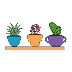 beautiful houseplants set in wooden shelf vector illustration design