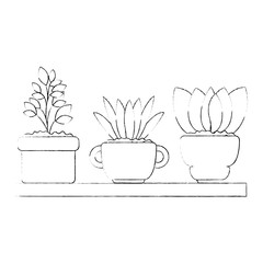 beautiful houseplants set in wooden shelf vector illustration design