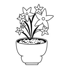 beautiful houseplant with flowers in pot vector illustration design