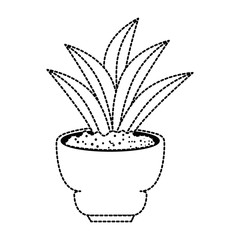 beautiful houseplant in pot vector illustration design