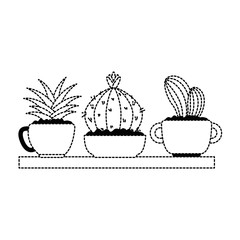 beautiful houseplants set in wooden shelf vector illustration design
