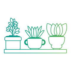 beautiful houseplants set in wooden shelf vector illustration design