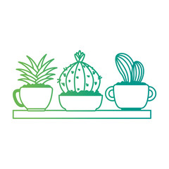 beautiful houseplants set in wooden shelf vector illustration design