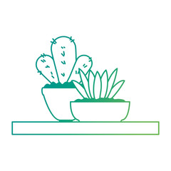 beautiful houseplants set in wooden shelf vector illustration design