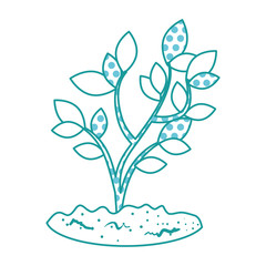 beautiful tree plant cultivated vector illustration design