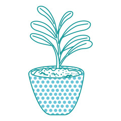 beautiful houseplant in pot vector illustration design