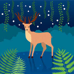 Cartoon cute Deer in the jungle at night vector