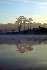 Da Lat morning with lake in fog