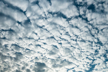 Sky full of fluffy cloud with sun light in daytime