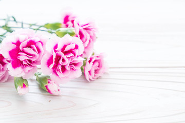 pink spring flower on wooden background