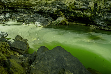 Green water