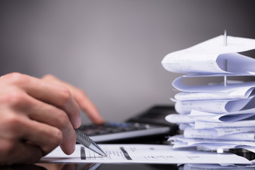 Businessperson Checking Bill