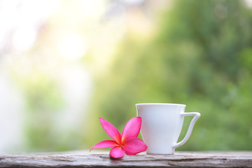 Fototapeta na wymiar White cup with plumaria flower at outdoor