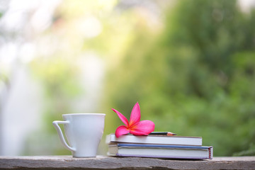 White cup with plumaria flower and notebooks