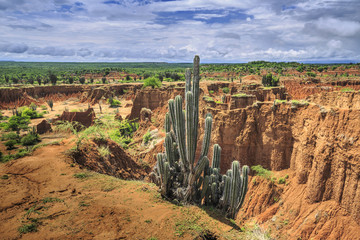 Tatacoa desert, Huila, Tolima, Colombia