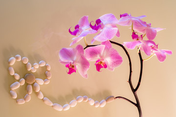 home pink Orchid. beautiful flower on the background of the stone flower