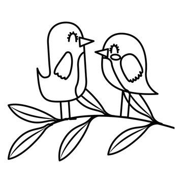 cute couple birds together in tree branch vector illustration thin line