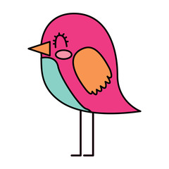 cute cartoon bird animal beauty vector illustration vector illustration