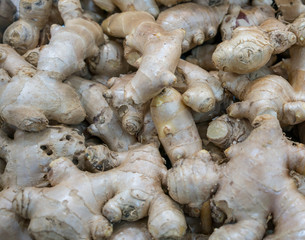 Closed up ginger root with skin for seamless pattern