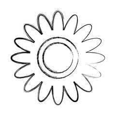 flower decoration ornament natural vector illustration image