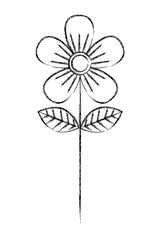 flower stem petals decoration image vector illustration sketch