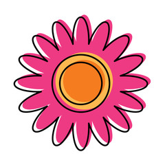 pink flower decoration ornament natural vector illustration